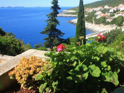 Apartment Three bedroom apartment with terrace and sea view Zavalatica, Korčula A-545-a - Outdoor photo 6