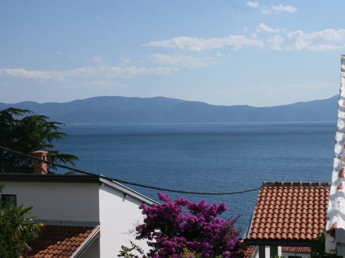 Apartment One bedroom apartment with terrace and sea view Podaca, Makarska A-6875-b