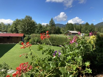 Holiday apartment Nr. 1 Soiern - Outdoor photo 11