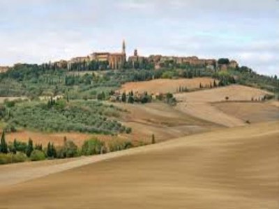 Apartment Apartment with swimming pool in Tuscany - Environment photo 24