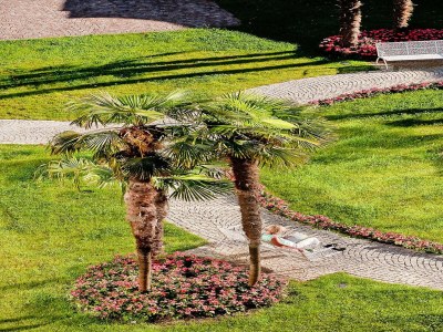 Holiday park Residence Carl & Do in Baveno - Outdoor photo 11