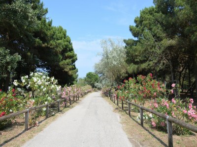 Holiday park Strandkomfort in Lido di Spina - Outdoor photo 35