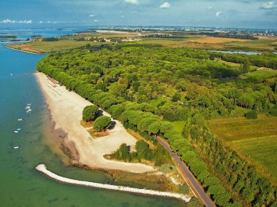 Holiday park Bungalow in the Residence Belvedere in Grado - Environment photo 23