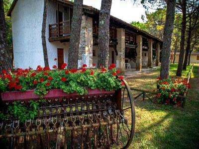 Holiday park Grado Apartment im Belvedere Resort - Holiday park