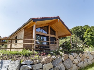 Chalet ebenerdiges Chalet im Vital Camp Bayerbach - Outdoor photo 2