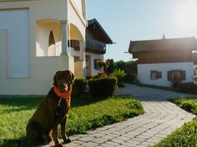 Holiday house Ferienhaus im Landhausstil im Vital Camp Bayerbach - Outdoor photo 2