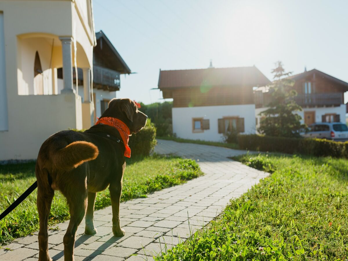 Holiday house Ferienhaus im Landhausstil im Vital Camp Bayerbach