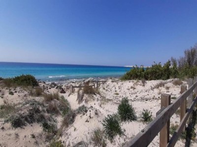 Apartment Apartment near Baia Verde Beach - Environment photo 29