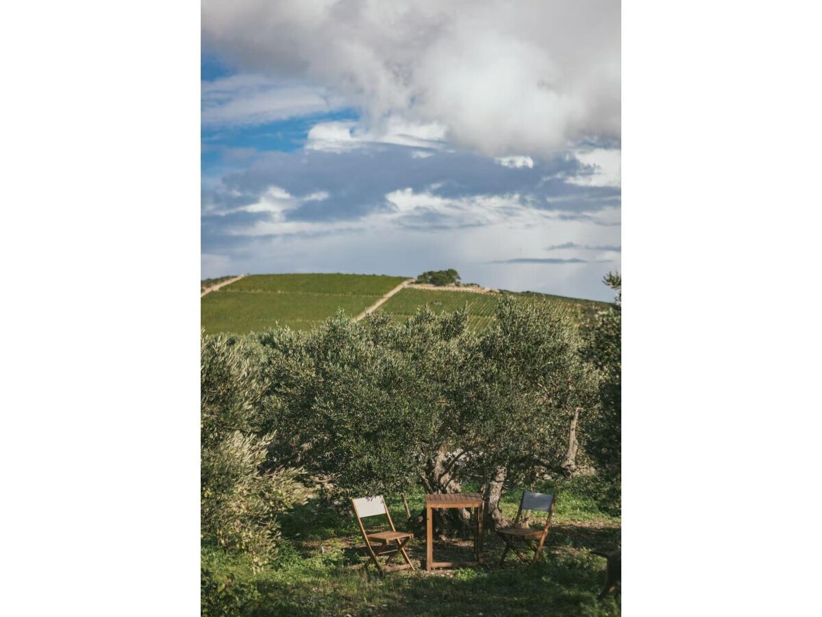 Holiday house Adriatic Heritage Glamping on Island - Outdoor photo 2