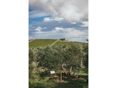 Holiday house Insel-Glamping für 4 Personen mit Whirlpool - Outdoor photo 3