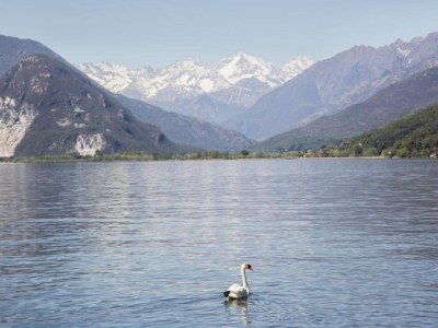 Holiday house Chalet in Verbania near Lake Maggiore - Environment photo 21