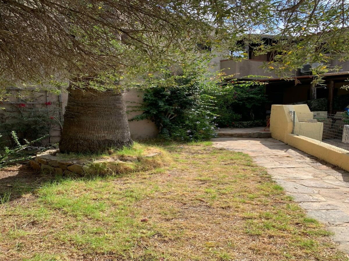 Holiday park Wohnung in Porto Pollo beim Surfparadies - Outdoor photo 3