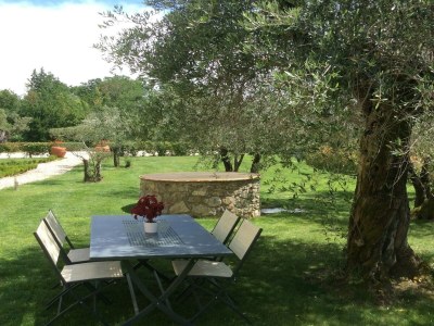 Farmhouse Apartment in Tuscany with Pool and Lucca Views - Outdoor photo 12