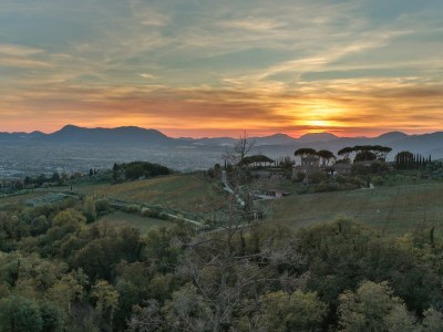 Farmhouse Apartment in Tuscany with Pool and Lucca Views - Environment photo 59