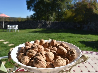Holiday house Ferienhaus in Gramat mit Pool - Outdoor photo 38