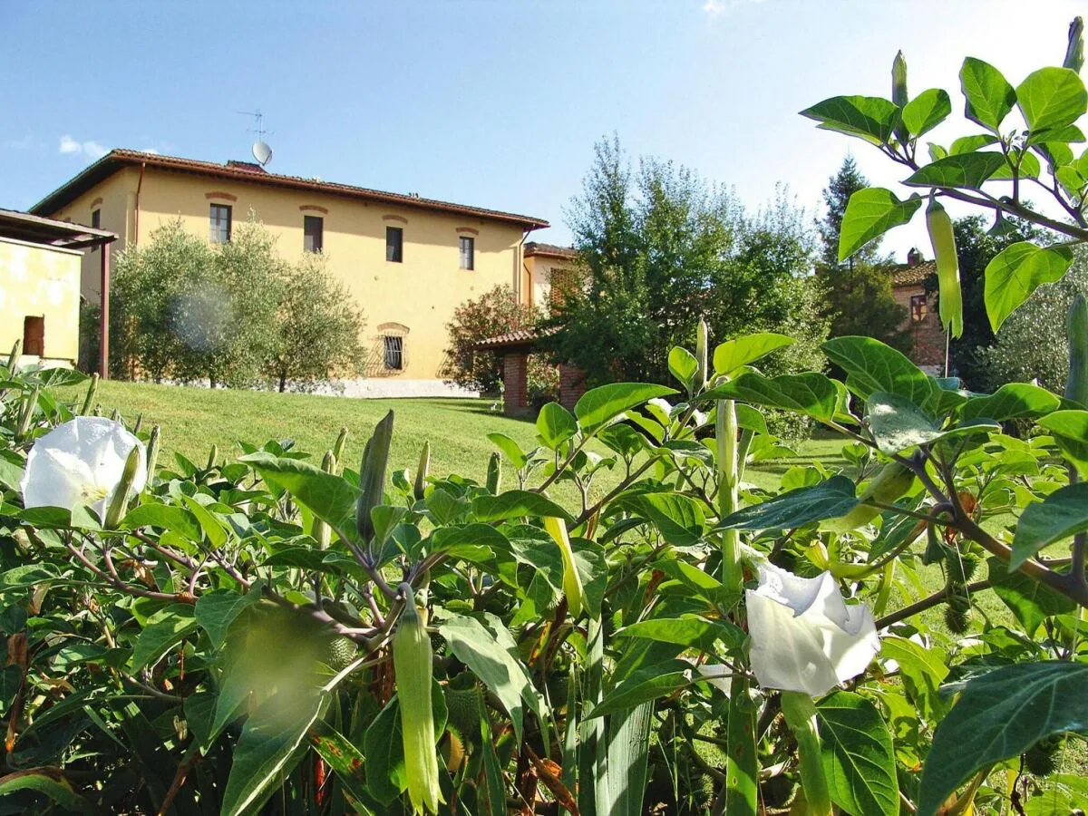 Holiday park Agriturismo Poggio al Sole, Vinci - Outdoor photo 5