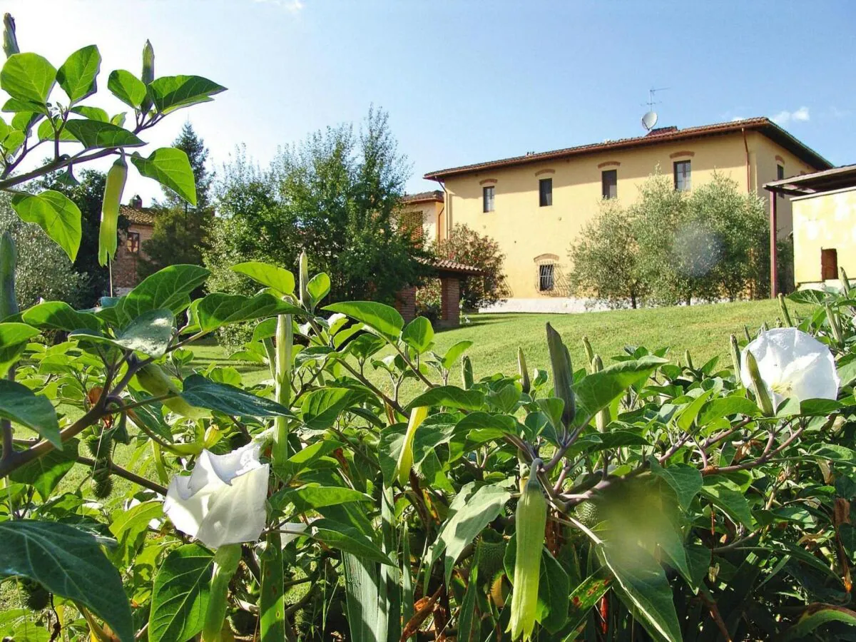 Holiday park Agriturismo Poggio al Sole, Vinci - Outdoor photo 3
