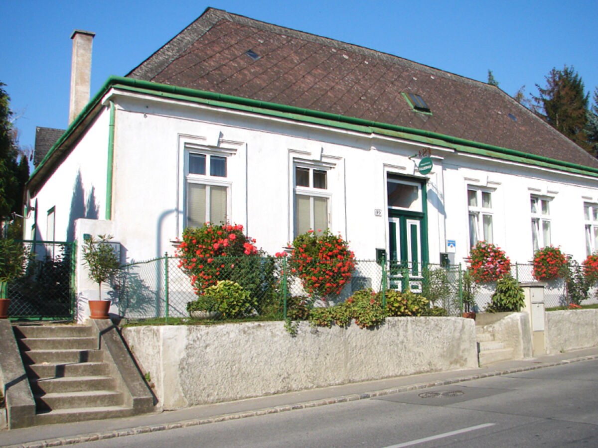Holiday apartment 2 Weingut Hauerhof 99 - Outdoor photo 2