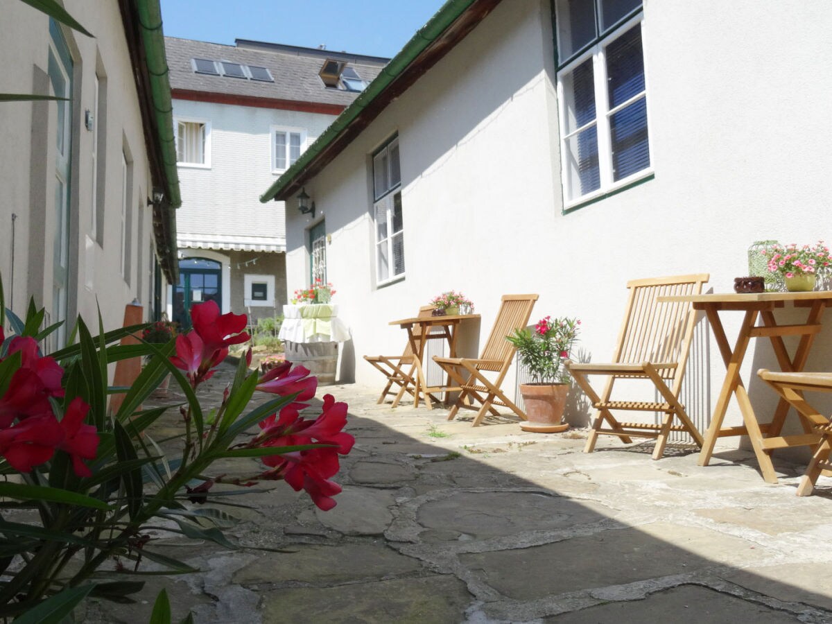 Holiday apartment 2 Weingut Hauerhof 99 - Outdoor photo 3