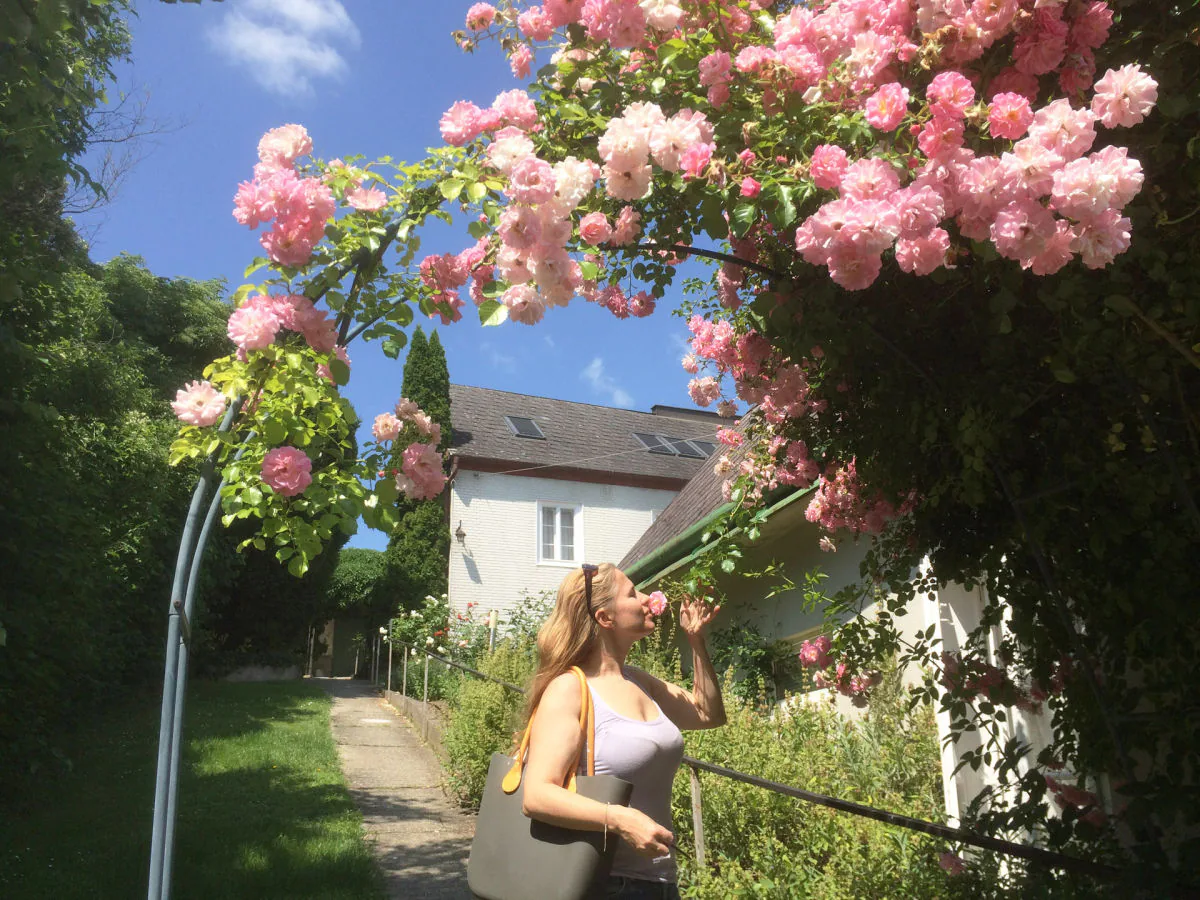 Holiday apartment 2 Weingut Hauerhof 99 - Outdoor photo 5