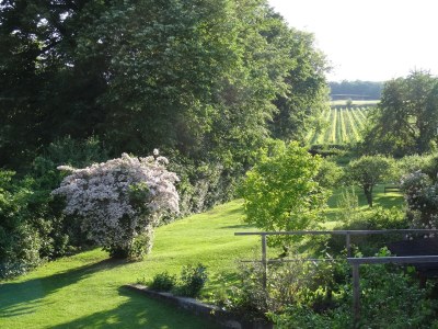 Holiday apartment 2 Weingut Hauerhof 99 - Outdoor photo 6