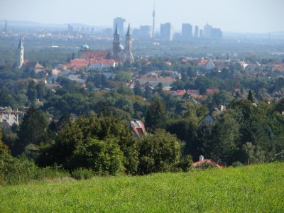 Holiday apartment 2 Weingut Hauerhof 99 - Environment photo 14