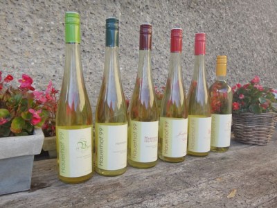 Holiday apartment 2 Weingut Hauerhof 99 - Environment photo 17