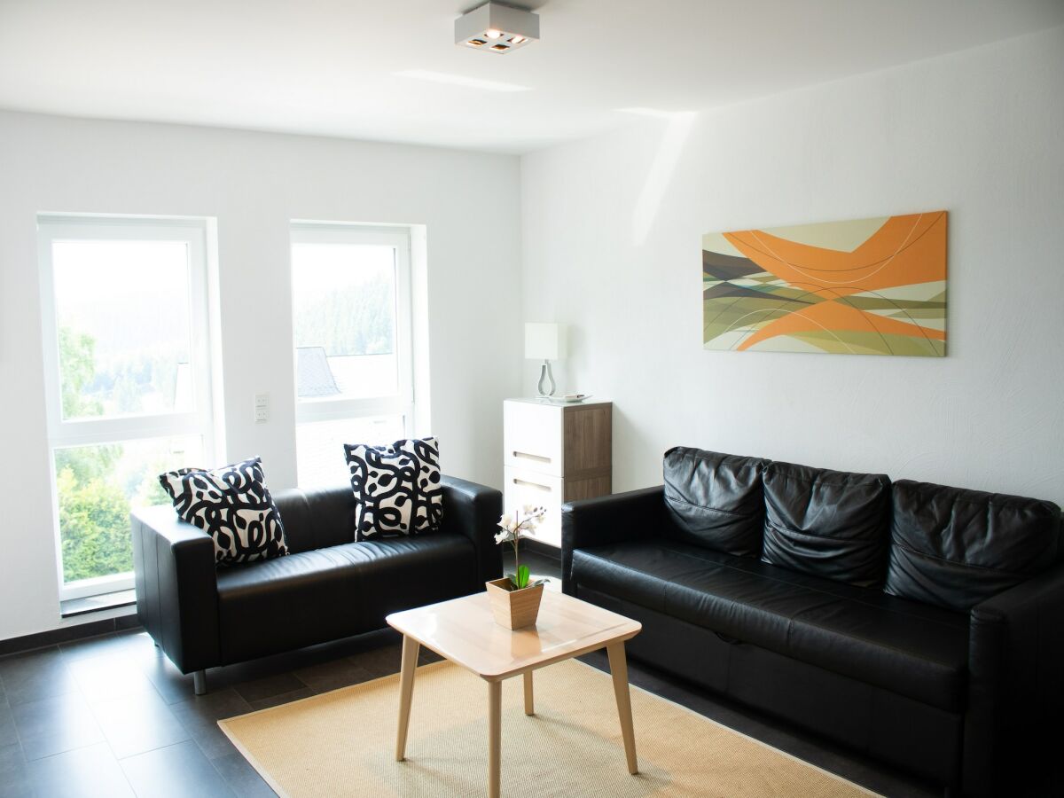 Apartment Wohnung in der Nähe des Skigebietes in Winterberg