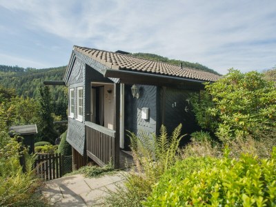 Holiday house Modern Ferienhaus nähe von Winterberg mit Garten in High Sauerland - Holiday house