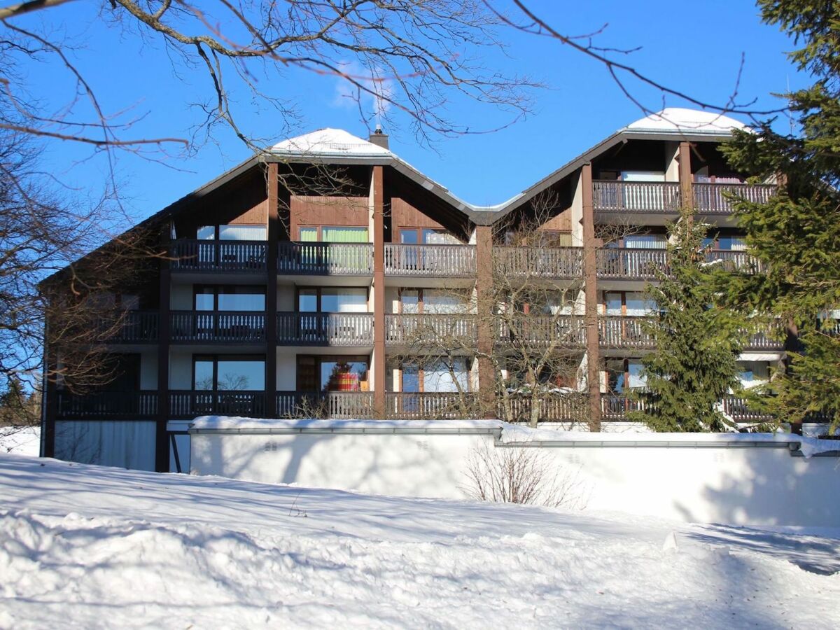 Apartment Wohnung in Winterberg in der Nähe des Bikeparks