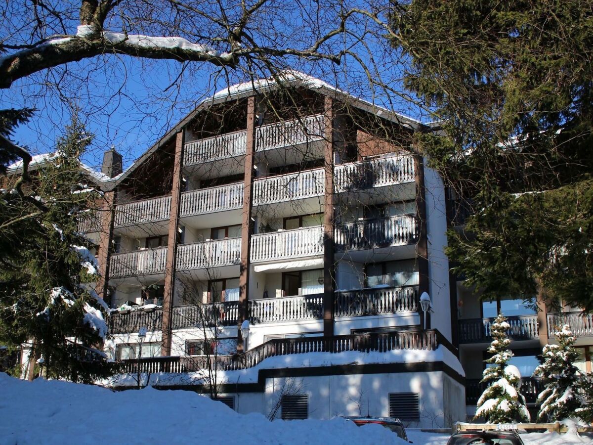 Apartment Wohnung in Winterberg in der Nähe des Bikeparks - Outdoor photo 2