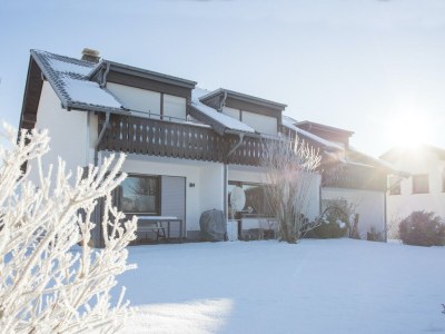 Apartment Modernes Studio für 3 Personen in Zuschen in High Sauerland - Apartment