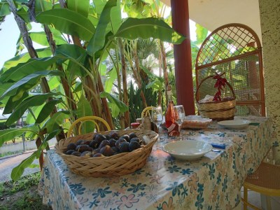 Apartment Holiday Haven near Santa Maria Beach - Outdoor photo 8