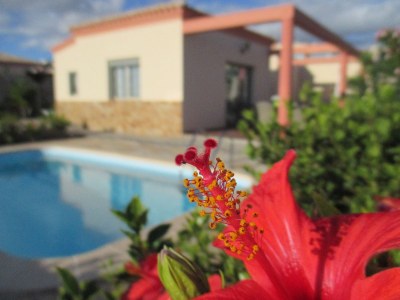 Chalet Villa Romeo - Outdoor photo 10