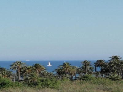 Apartment Wohnung in Roquetas nahe Strand - Environment photo 23