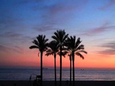 Apartment Wohnung in Roquetas nahe Strand - Environment photo 36