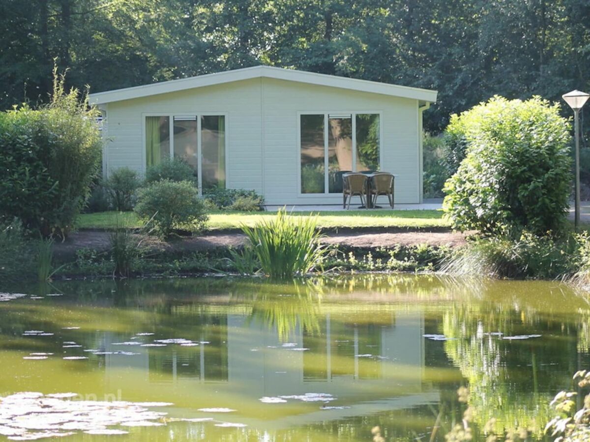 Villa a cozy holiday park on the large forest . - Outdoor photo 2