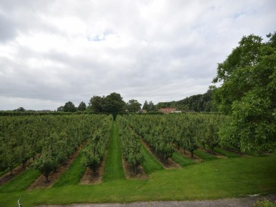 Villa Holiday Home in Oostkapelle near Beaches - Outdoor photo 23