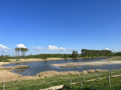 Chalet Chalet in Zeeland near Sandy Beach - Outdoor photo 70