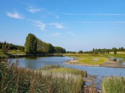Chalet Chalet in Zeeland near Sandy Beach & Nature - Outdoor photo 27