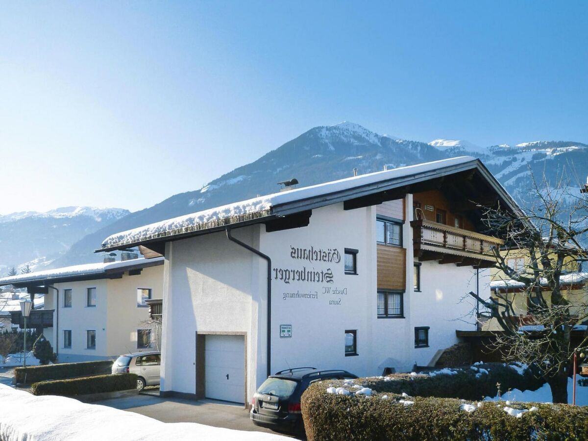 Apartment Landhaus in Zillertal nahe Spieljochbahn - Outdoor photo 5