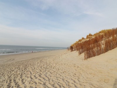 Chalet Chalet in Hollum near the beach - Environment photo 16
