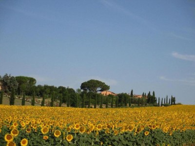 Holiday house Lago di Chiusi Villa with Pool - Environment photo 34