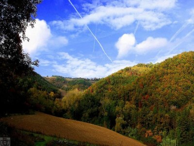 Holiday house Geräumiges Ferienhaus in Brisighella - Environment photo 36