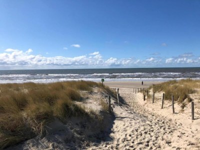 Holiday house Apartment in Petten near the Beach - Environment photo 35