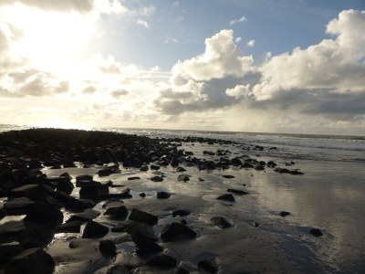 Bungalow Willemien - Environment photo 19
