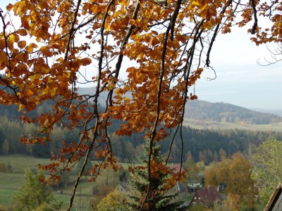 Holiday apartment Landliebe - Environment photo 29
