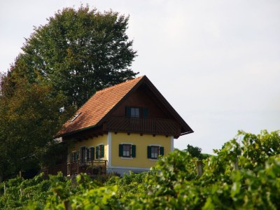 Holiday house Weingartenhaus "Kellerstöckl" in Straden - Holiday house