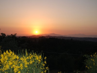 Holiday apartment 2-room holiday apartment La Betulla on the estate Il Poggio - Environment photo 15