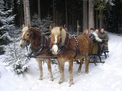 Holiday house "Neue Scheune" - Outdoor photo 12